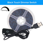 White / 3m / Black Dimmer Switch|IP21 Non Waterproof